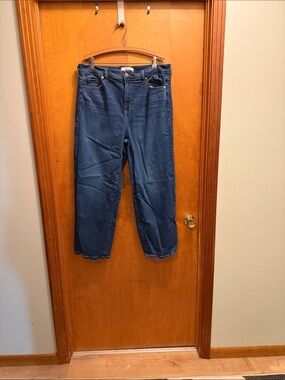 torrid Belle Isle Denim Jeans in Indigo and Light Blue